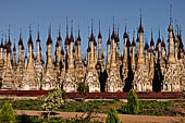 A view of the massive cluster of pagodas that make up the forest like Kakku pagoda complex. Shan State, Burma (Myanmar).